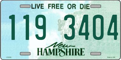 NH license plate 1193404