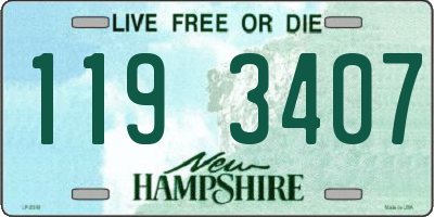 NH license plate 1193407