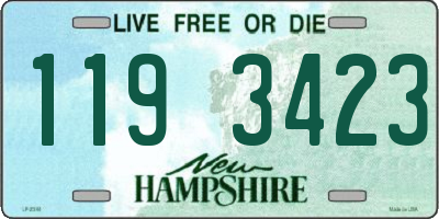 NH license plate 1193423