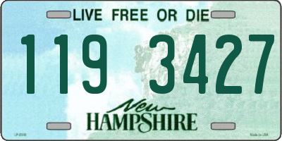 NH license plate 1193427