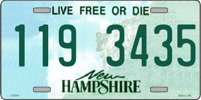 NH license plate 1193435