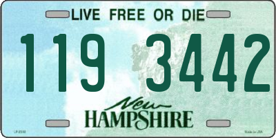 NH license plate 1193442