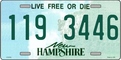 NH license plate 1193446