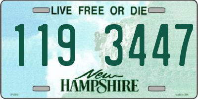 NH license plate 1193447