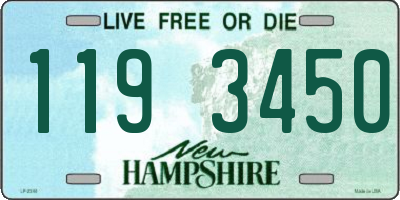 NH license plate 1193450