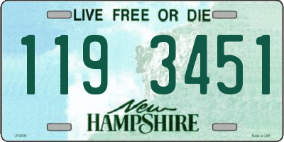 NH license plate 1193451