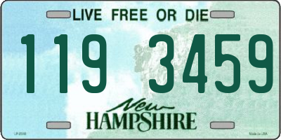 NH license plate 1193459
