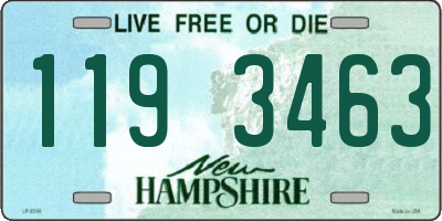 NH license plate 1193463