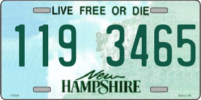 NH license plate 1193465