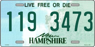 NH license plate 1193473