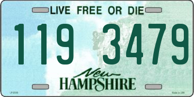 NH license plate 1193479