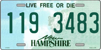 NH license plate 1193483