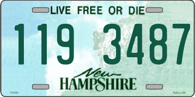 NH license plate 1193487