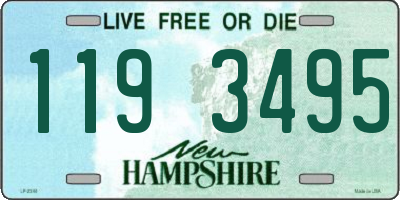 NH license plate 1193495