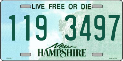 NH license plate 1193497