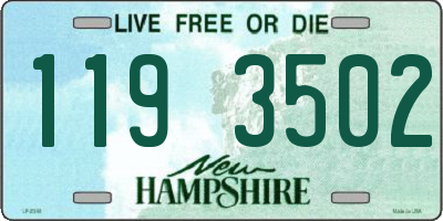 NH license plate 1193502
