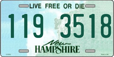 NH license plate 1193518
