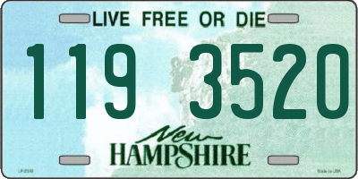 NH license plate 1193520