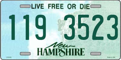NH license plate 1193523