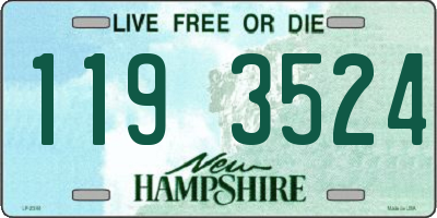NH license plate 1193524