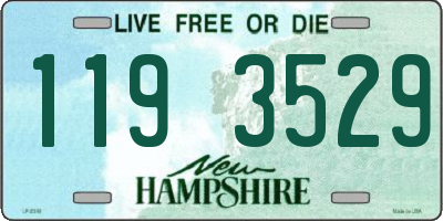 NH license plate 1193529