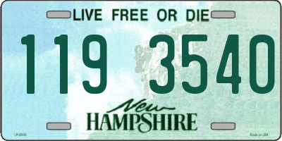 NH license plate 1193540