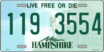 NH license plate 1193554