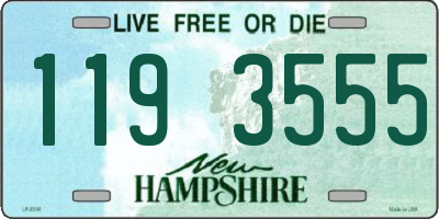 NH license plate 1193555