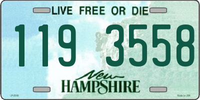 NH license plate 1193558