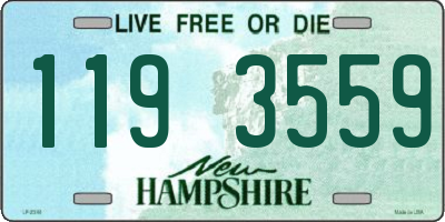 NH license plate 1193559