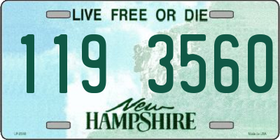 NH license plate 1193560
