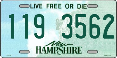NH license plate 1193562