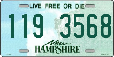 NH license plate 1193568