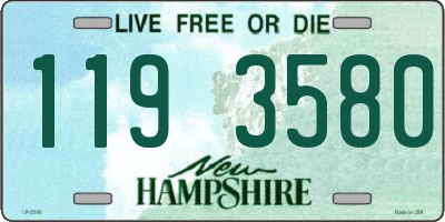 NH license plate 1193580