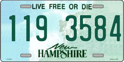 NH license plate 1193584