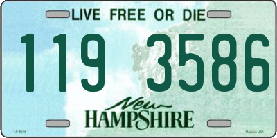 NH license plate 1193586