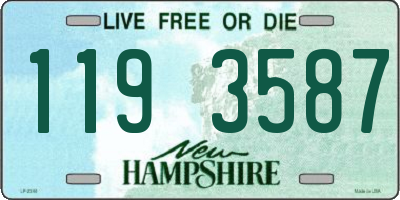 NH license plate 1193587