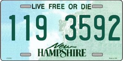 NH license plate 1193592