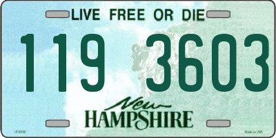 NH license plate 1193603