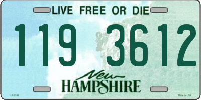 NH license plate 1193612
