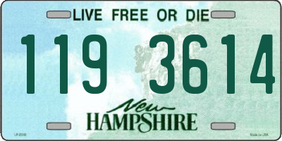 NH license plate 1193614