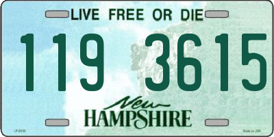 NH license plate 1193615