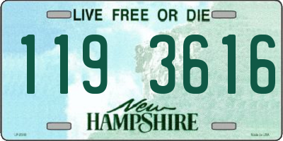 NH license plate 1193616
