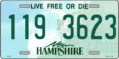 NH license plate 1193623