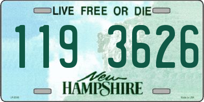 NH license plate 1193626