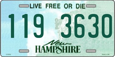 NH license plate 1193630