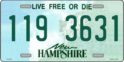 NH license plate 1193631