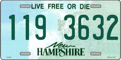 NH license plate 1193632