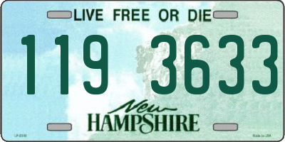 NH license plate 1193633