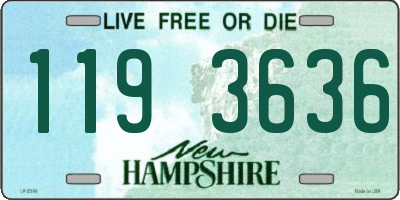 NH license plate 1193636